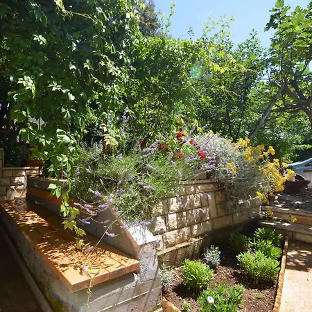 In - Zadar Riviera 7908 Apartment