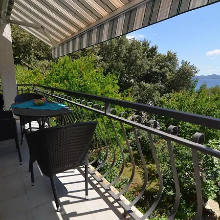Apartment In Petrcane/zadar Riviera 7908 Petrcane